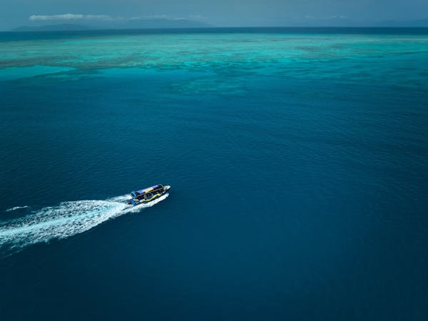 A Birds Eye view of 