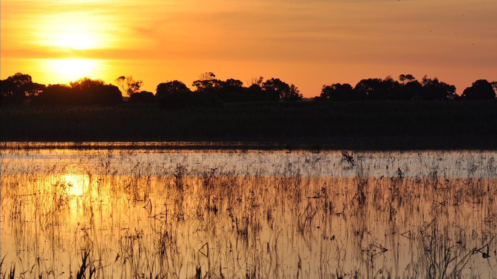 Bool Lagoon Game Reserve and Hacks Lagoon Conservation Park