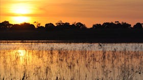Bool Lagoon Game Reserve and Hacks Lagoon Conservation Park