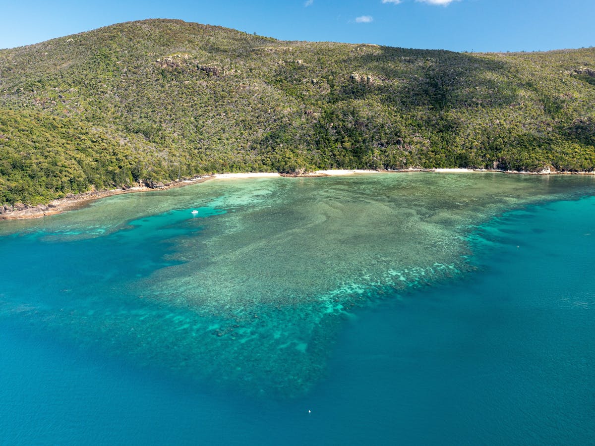 Calm waters and coral reef surrounding the Hook Island
