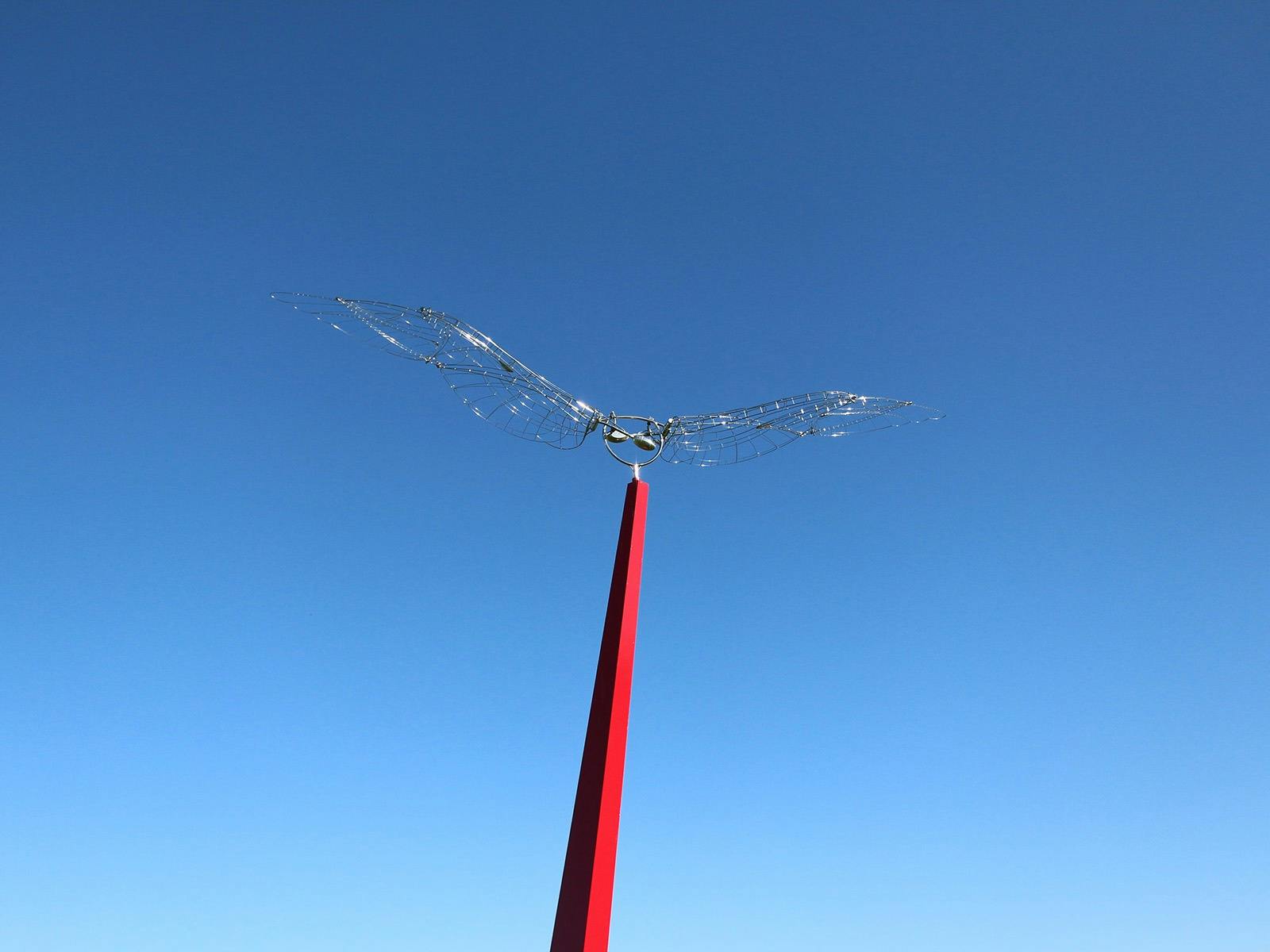 Breezing in Canberra