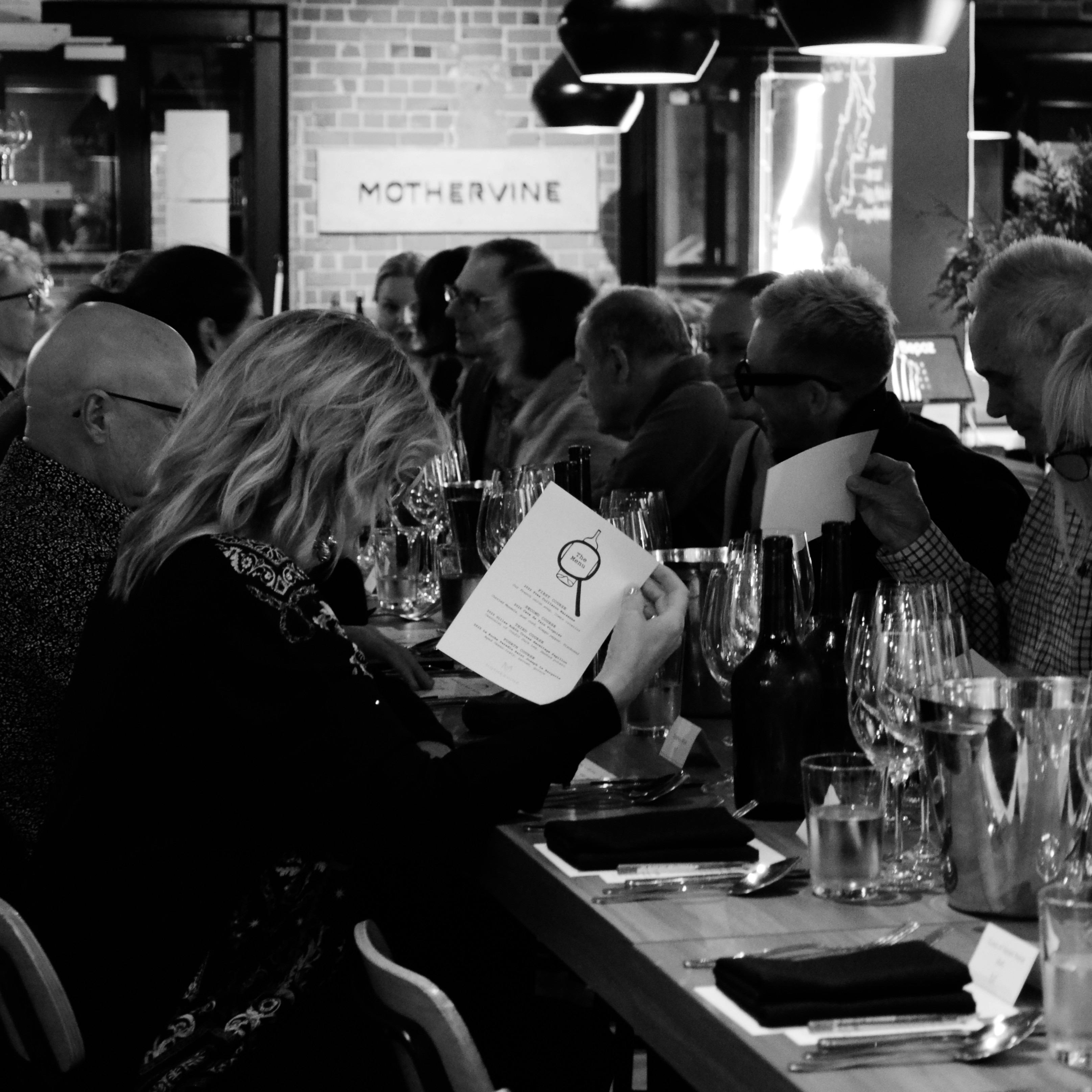 Mothervine in Focus: Piedmont