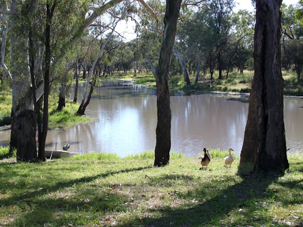 Judd's Lagoon in Yuleba