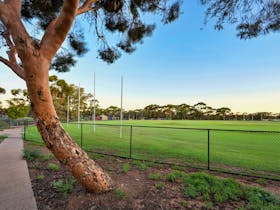 Fenced for the picnicking families with pets. One of our cabins is even pet friendly