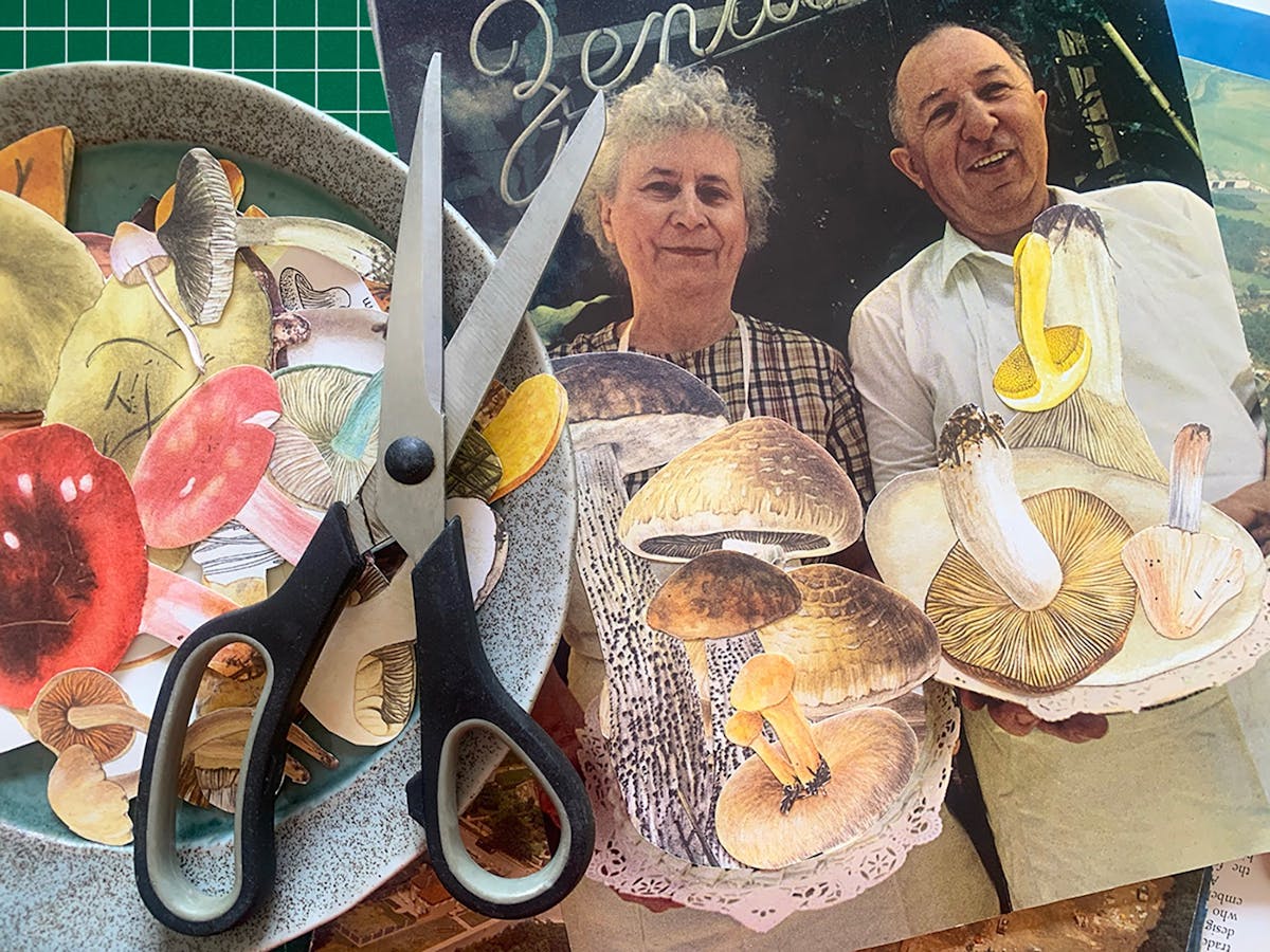 Collage in process