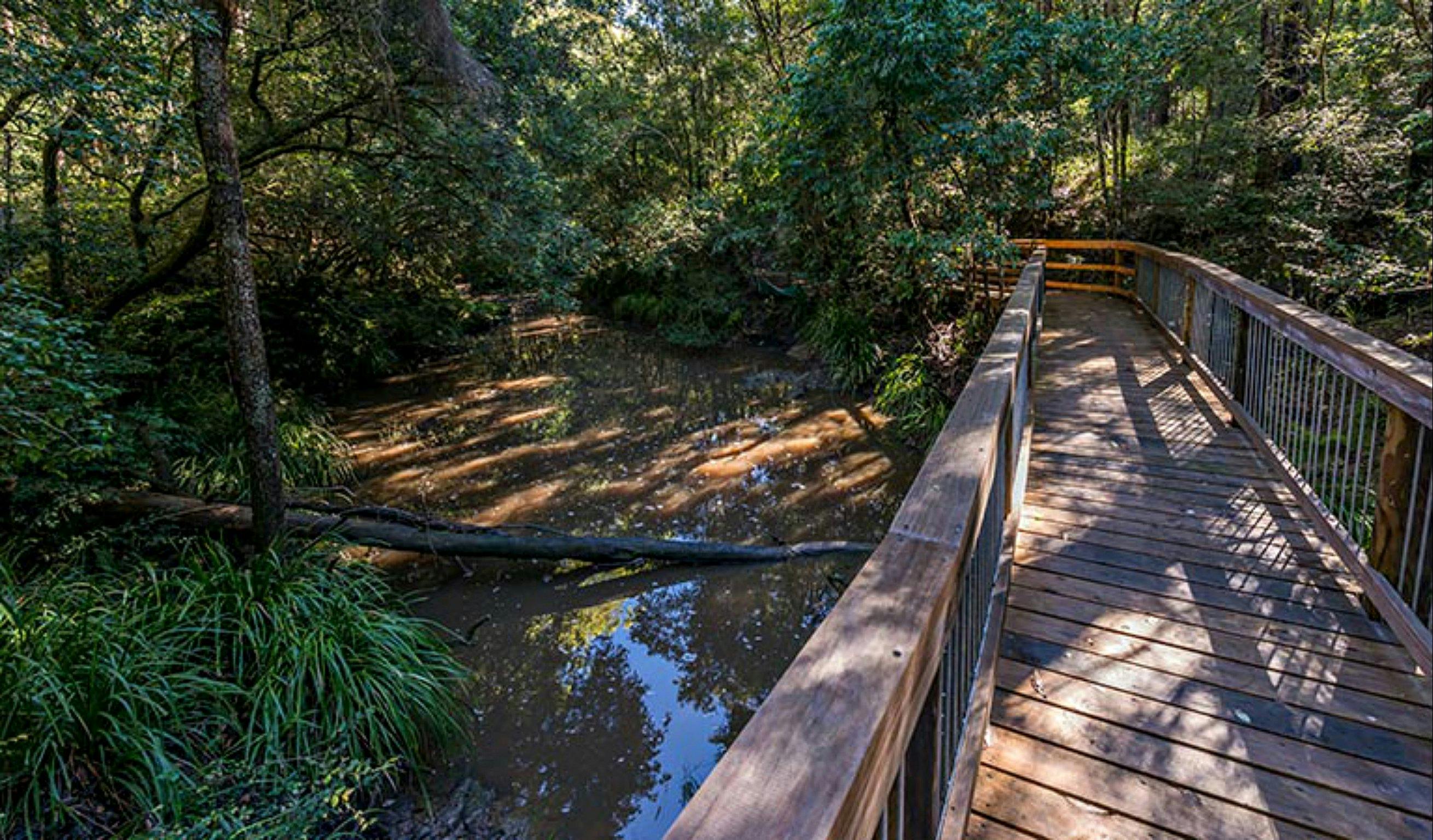 Ms Kellys walking track, Brimbin Nature Reserve. Photo: John Spencer