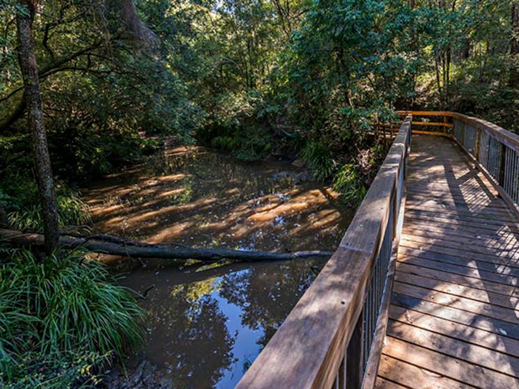 Ms Kellys walking track, Brimbin Nature Reserve. Photo: John Spencer