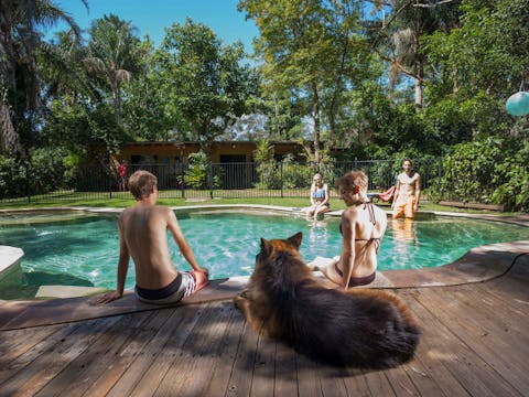 Samurai Beach Bungalows