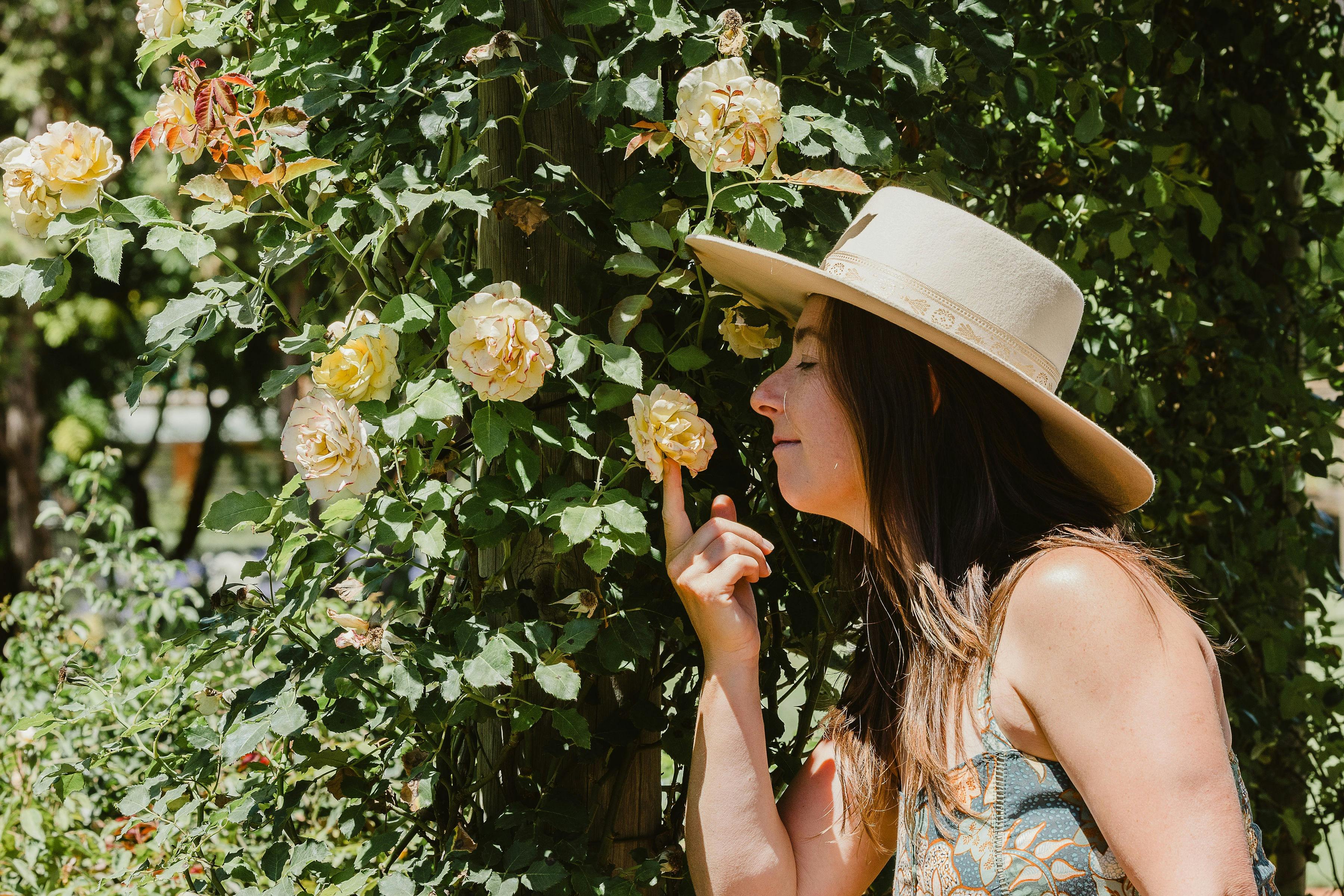Heritage Rose Garden