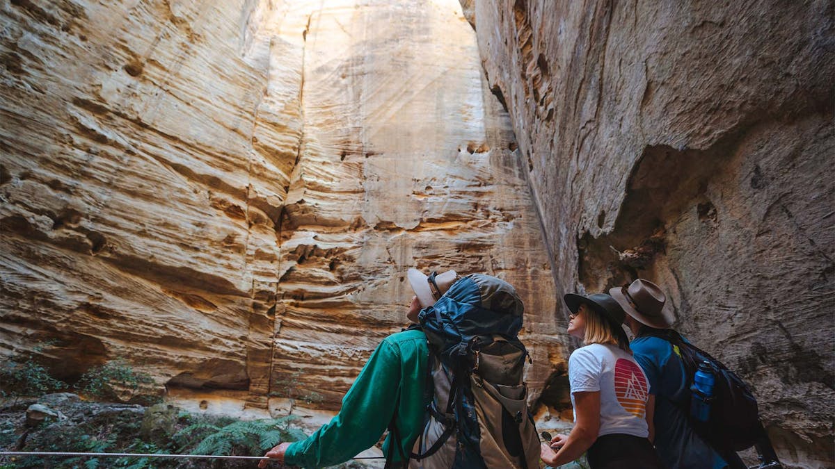 Two people gazing at a rock face in the Carnarvon Gorge