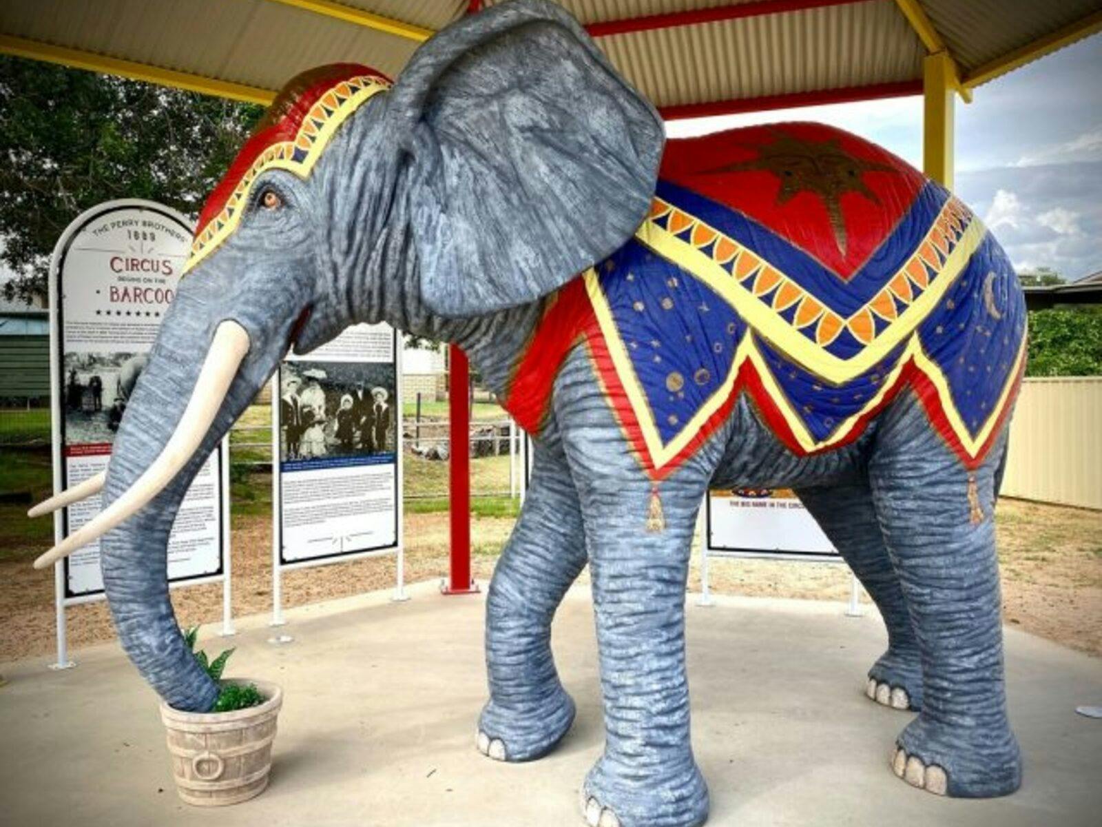 Barcoo Circus Statue, Blackall Barcoo Circus Statue, Blackall