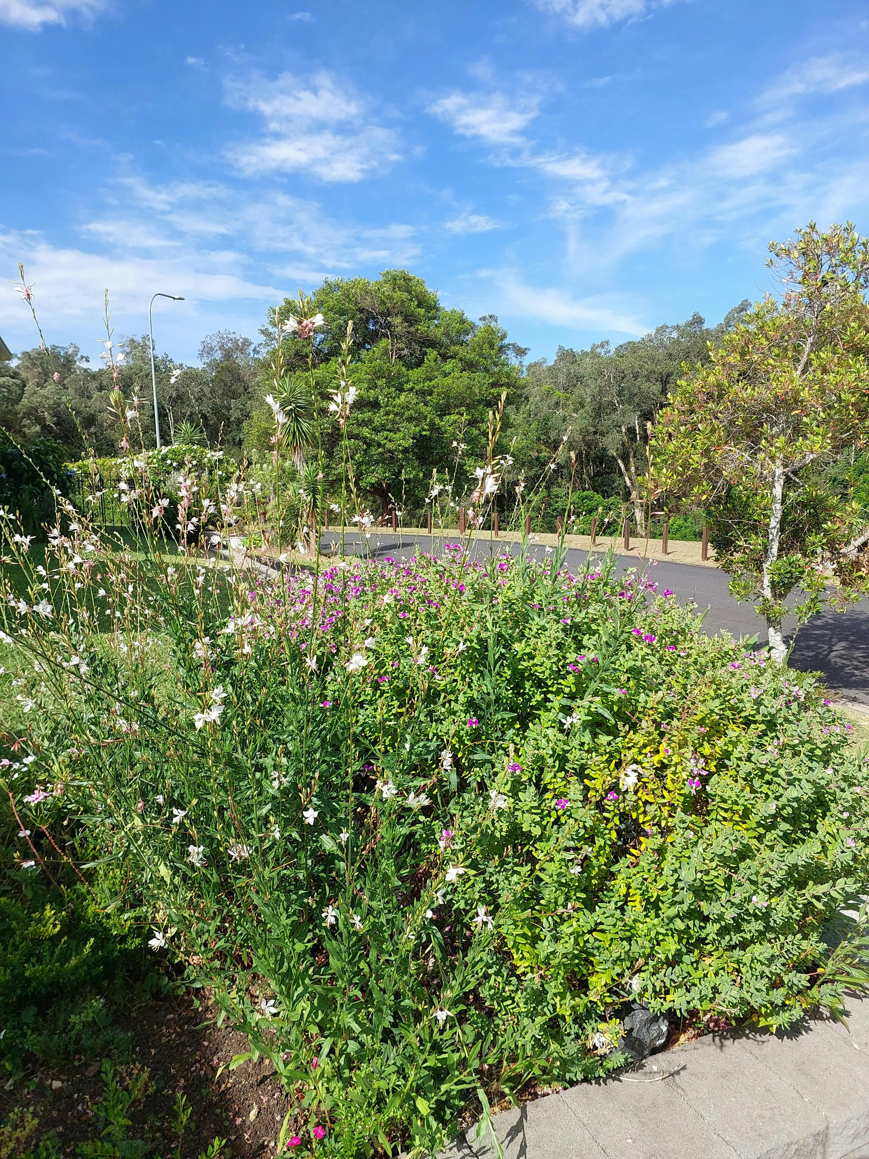 View from private garden