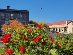 Beehive Corner Millicent