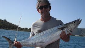 Holy Mackerel