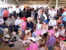 Crowd sitting at the races