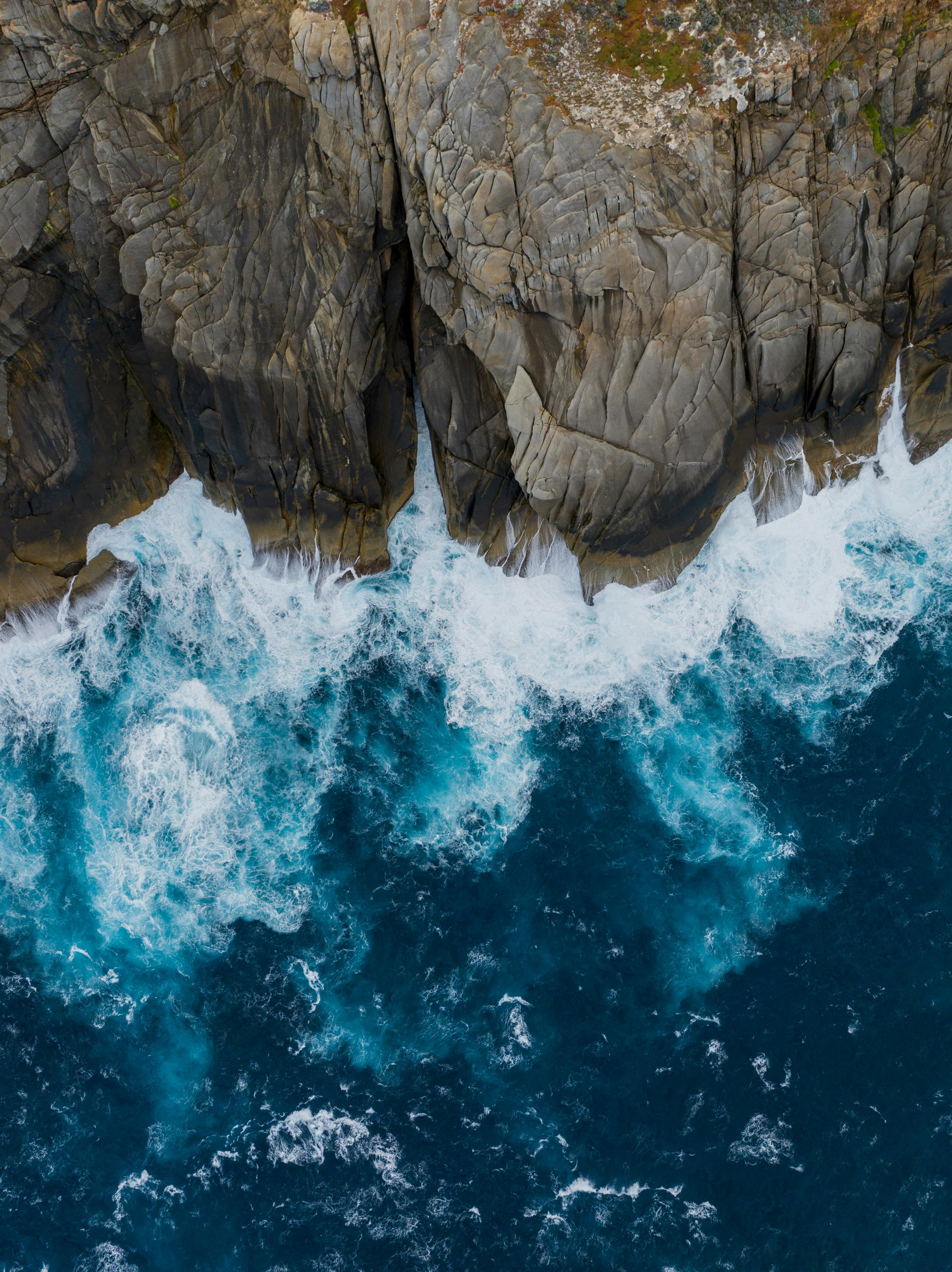 4 Day Wine, Forest & Southern Ocean Expedition