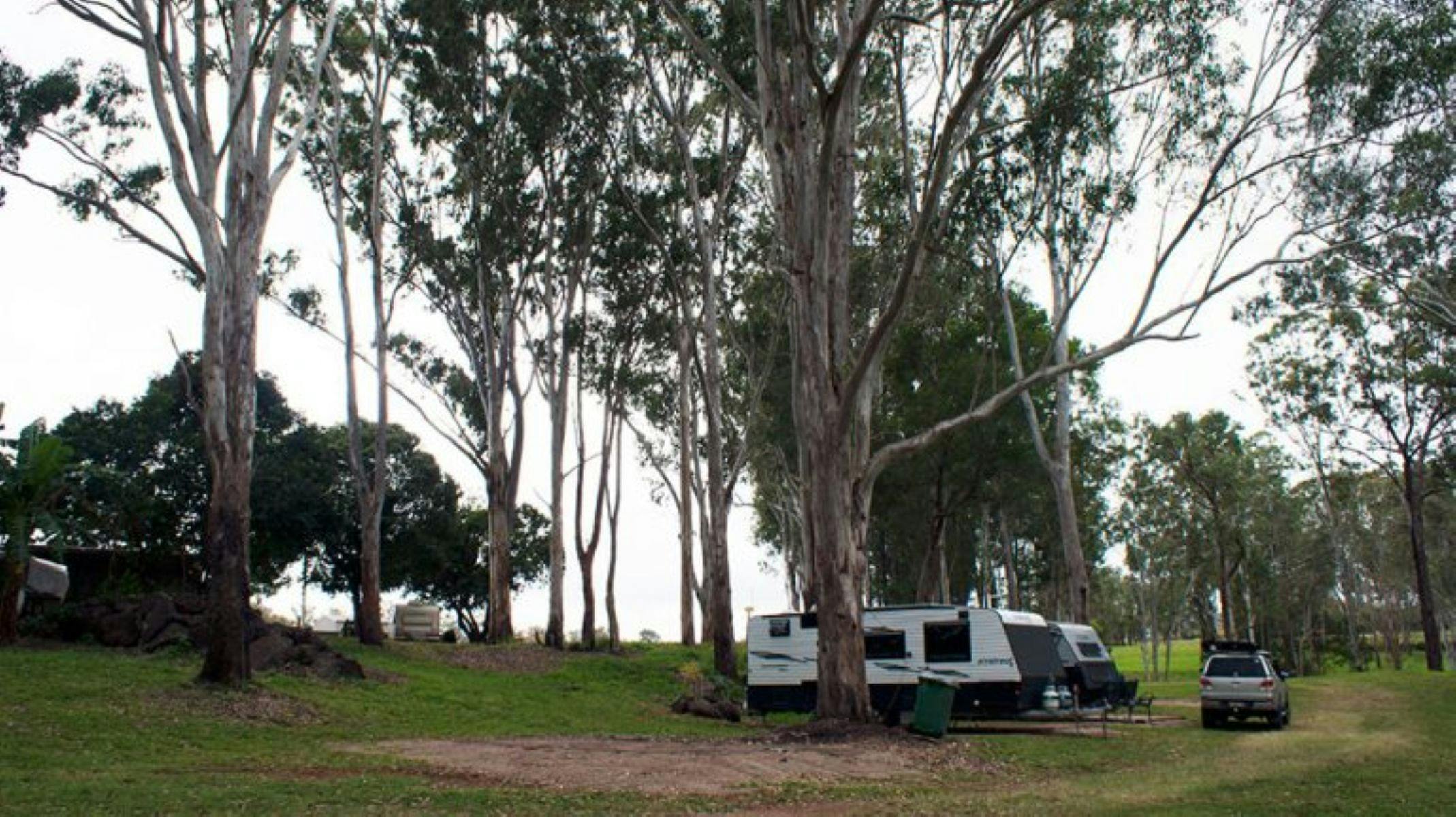 Caravan Site Tall Timbers
