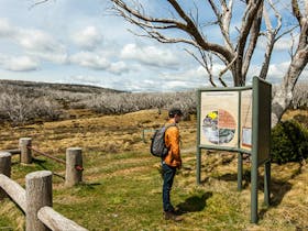 Round Mountain Hut walking track