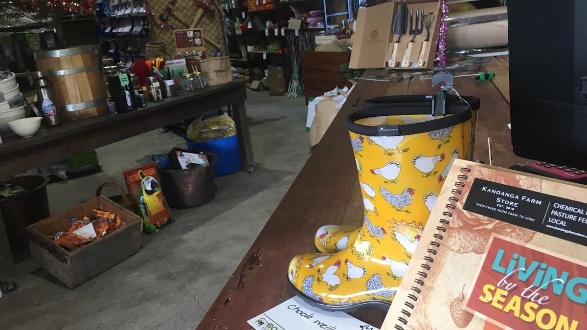 At the Farm Store Counter