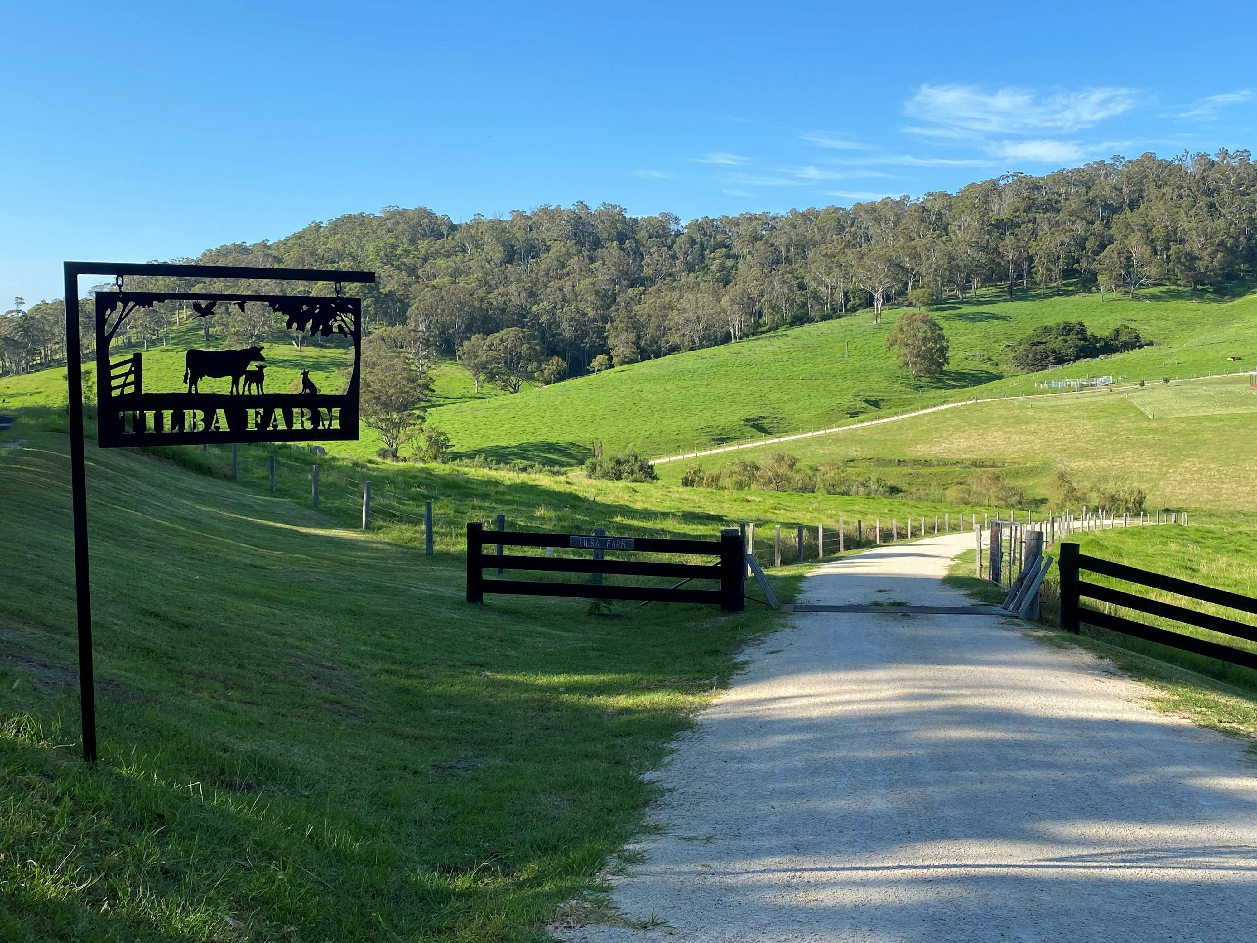 Tilba Farm is a 300 acre farm on the NSW South Coast