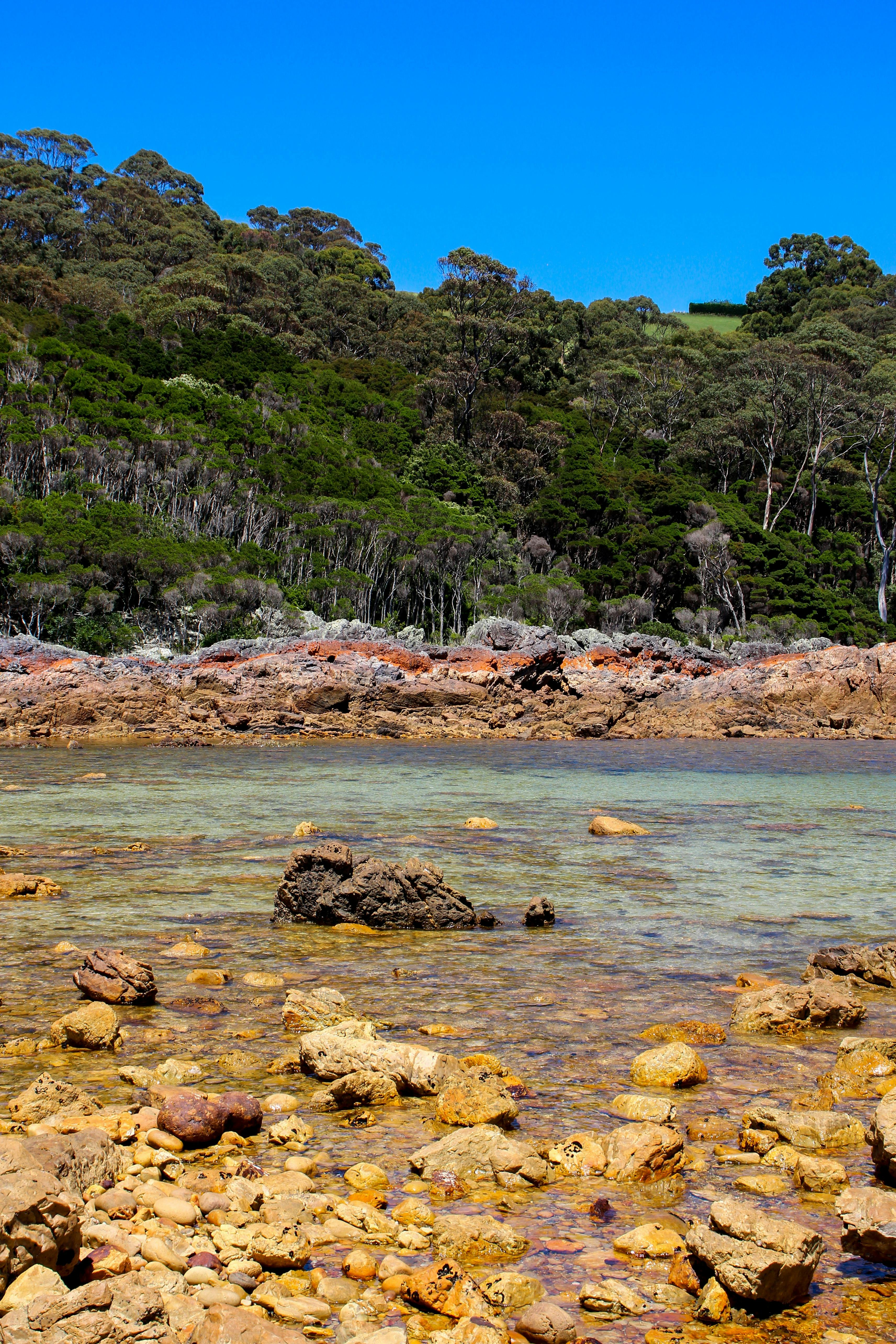 Boat Harbour Beach walking track to Sisters Beach Tasmania