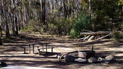Photo of picnic tables and fire pit with trees in background