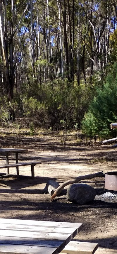Photo of picnic tables and fire pit with trees in background
