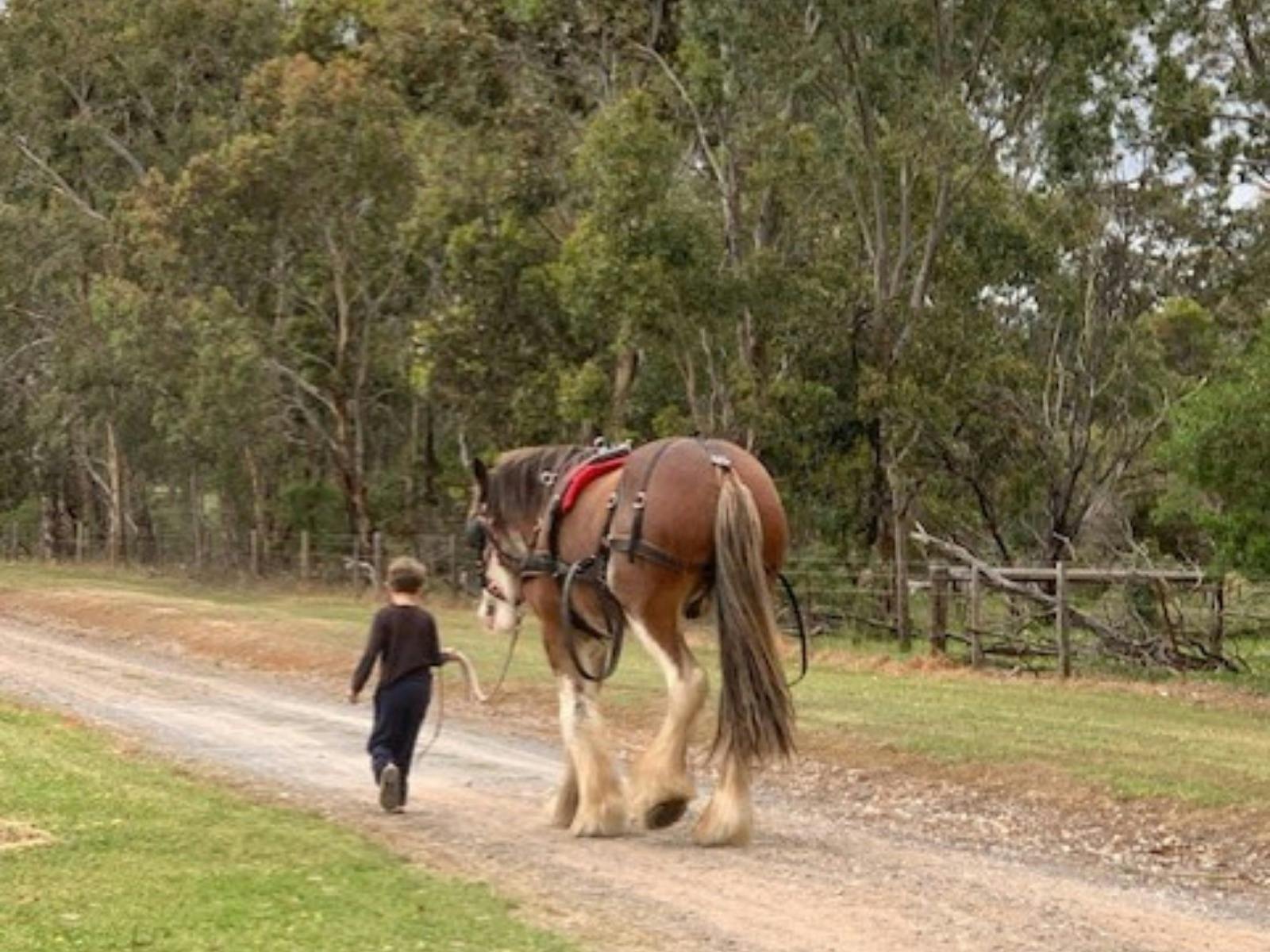 hands on, all ages can get involved