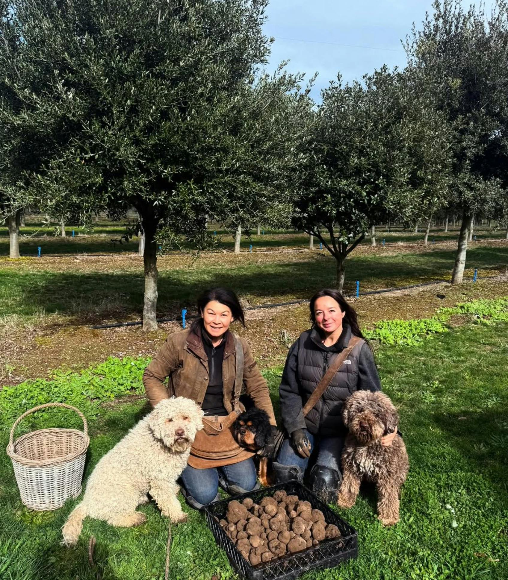Truffle Hunt and Luxury Lakeside Stay at Crittenden