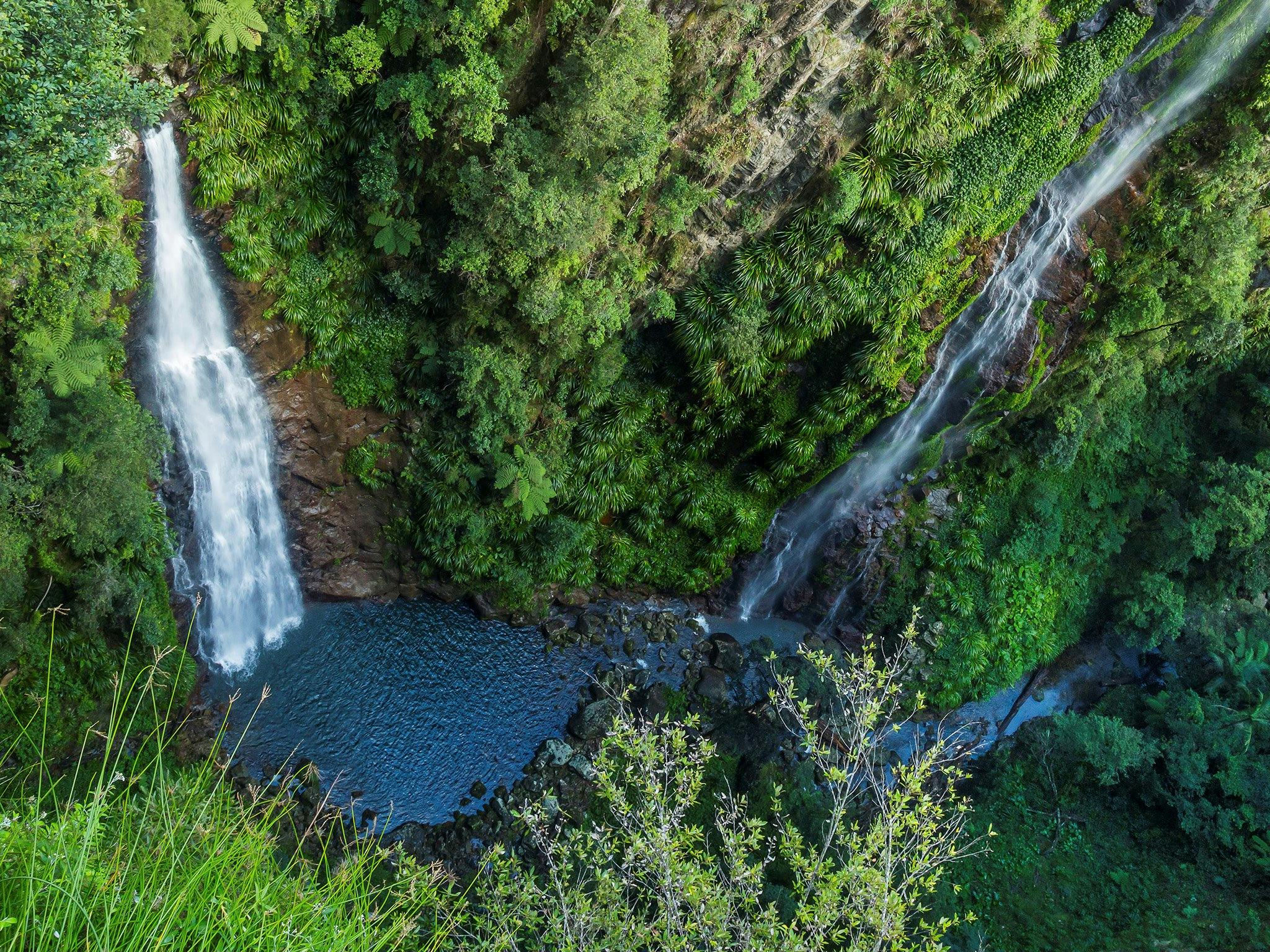 Backyard Tourist: Coomera Falls at Coomera Circuit, Binna Burra on