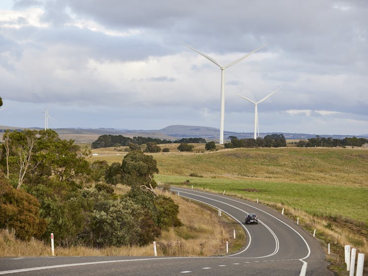 road with wind turbines in paddocks beside road