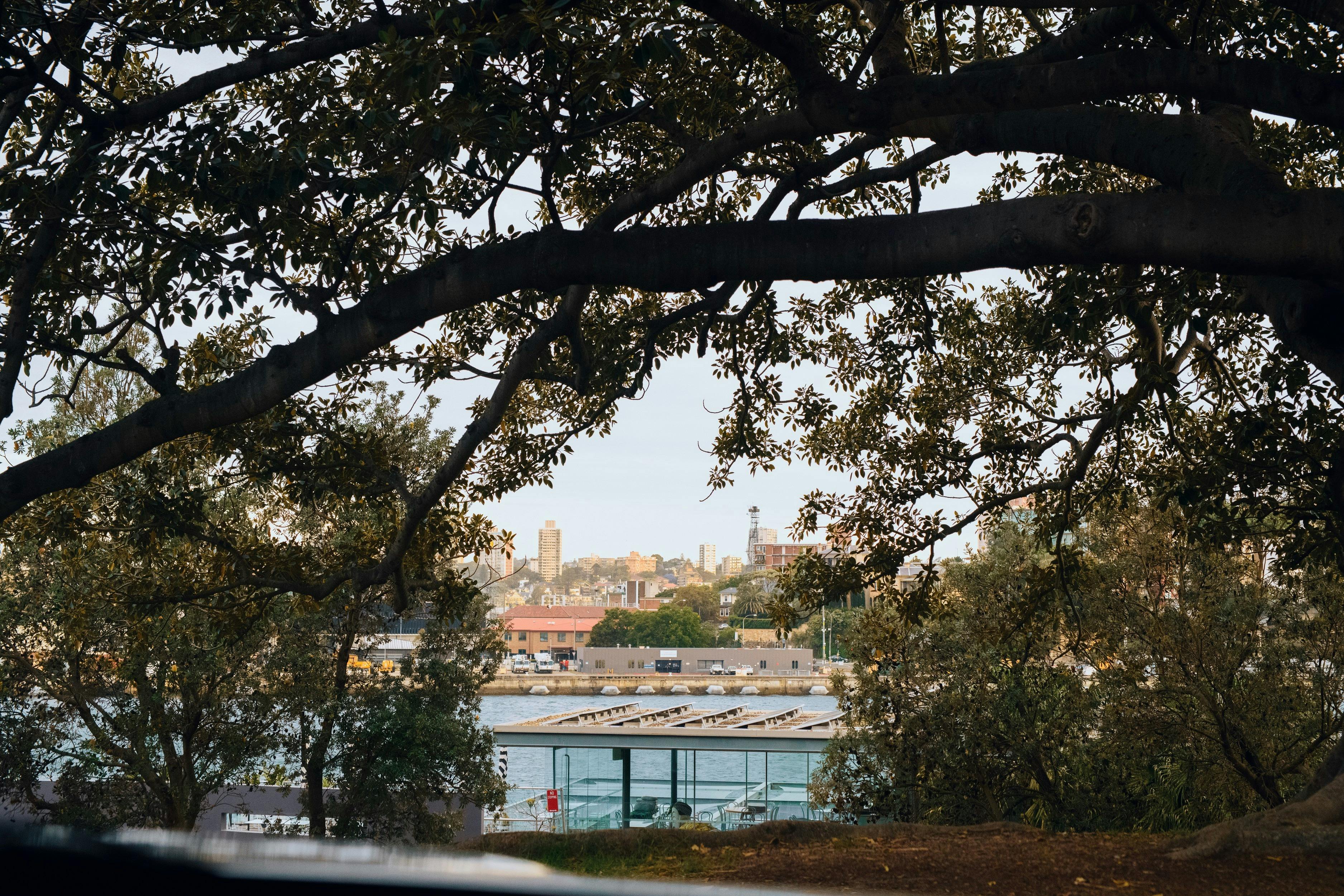 Andrew Boy Charlton Pool in Sydney, accessible through the Royal Botanic Garden Sydney