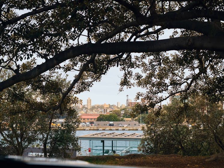 Andrew Boy Charlton Pool in Sydney, accessible through the Royal Botanic Garden Sydney