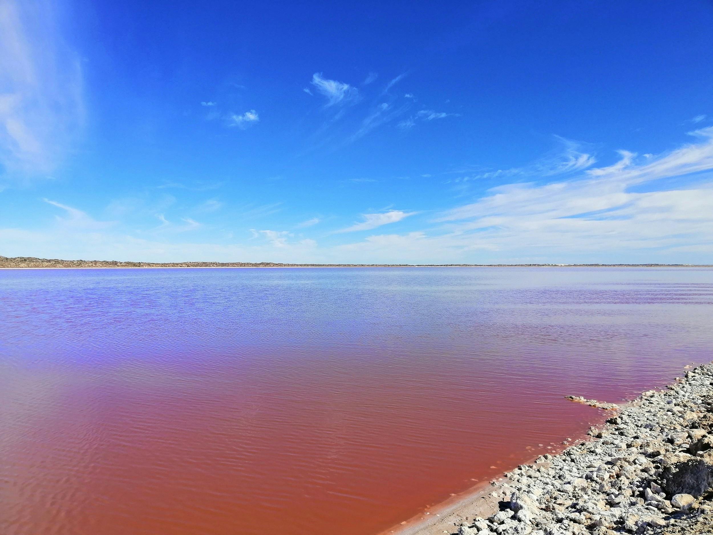 2 Day Kalbarri Pink Lake Tour