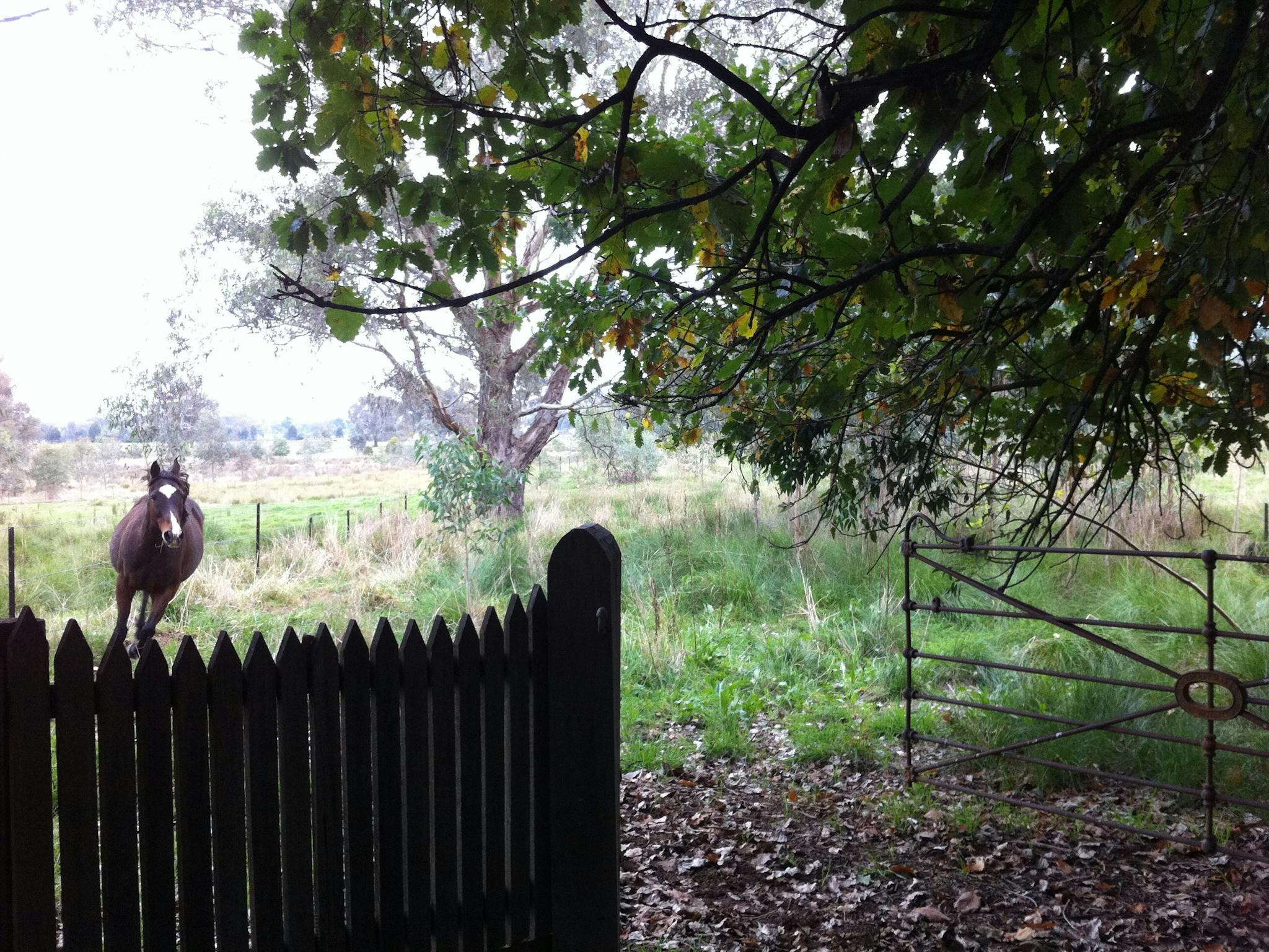 Saddle Hut walks