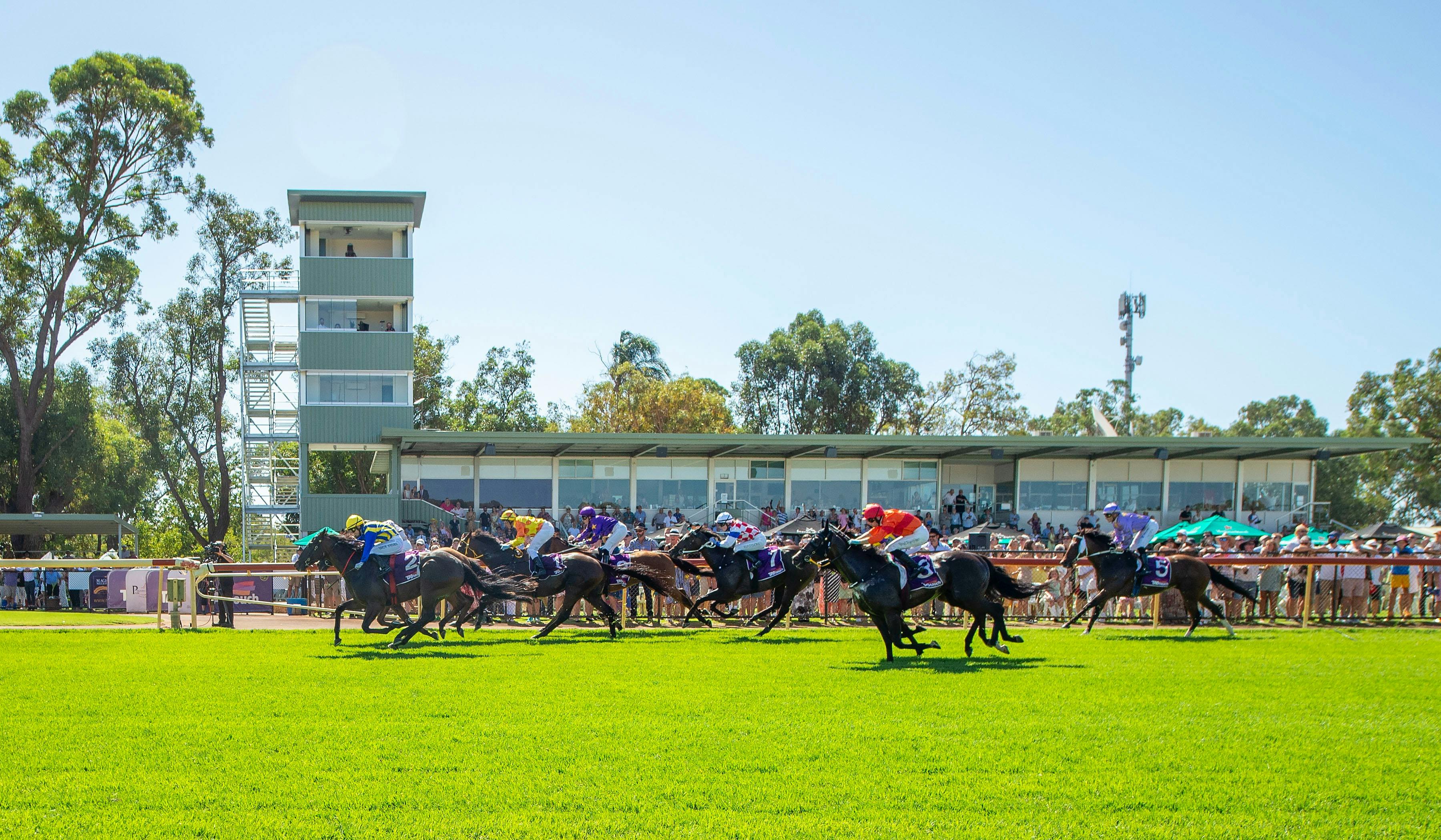 Horses Racing at Pinjarra Park