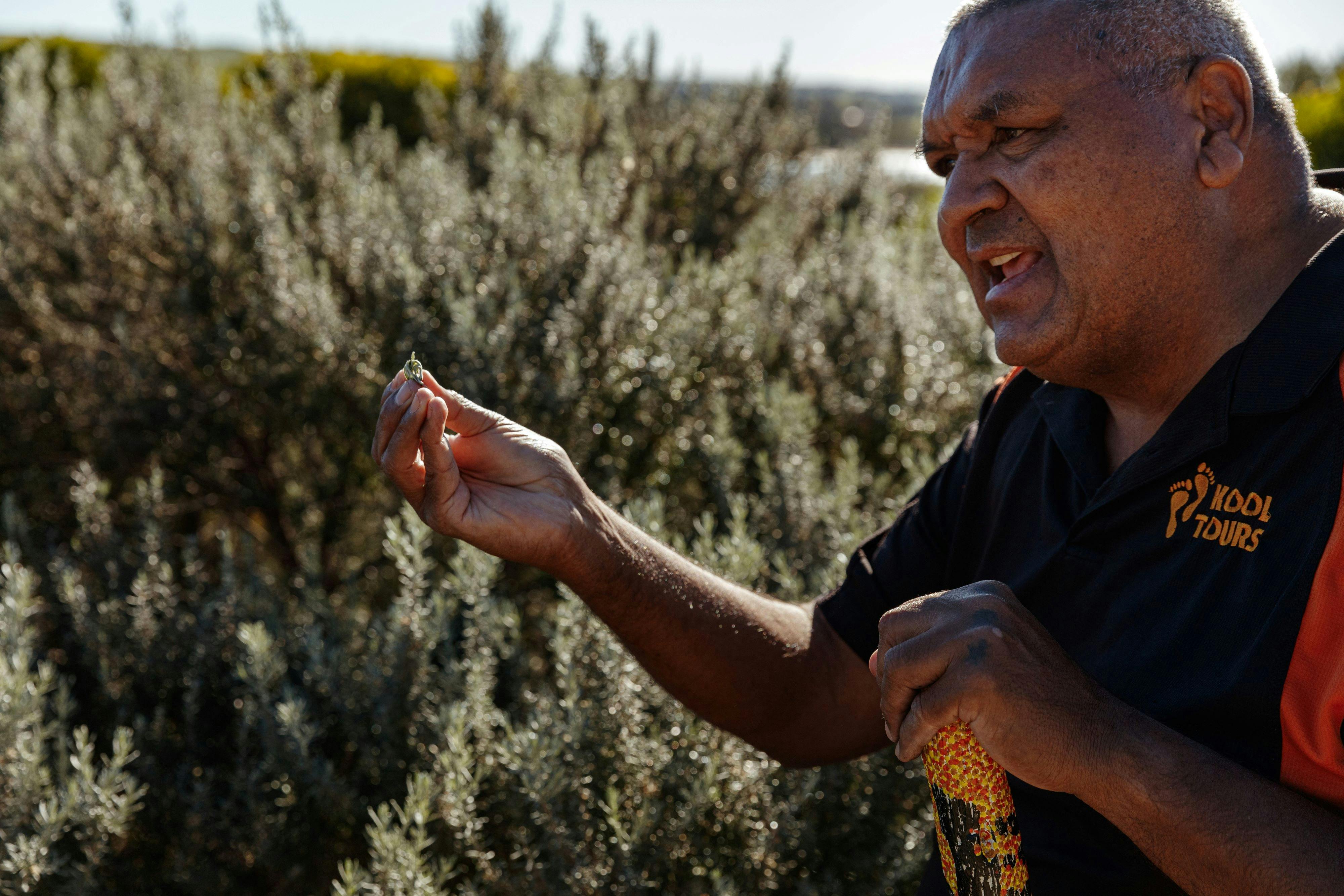 Day Tour:  Kangaroo Island Indigenous Tour
