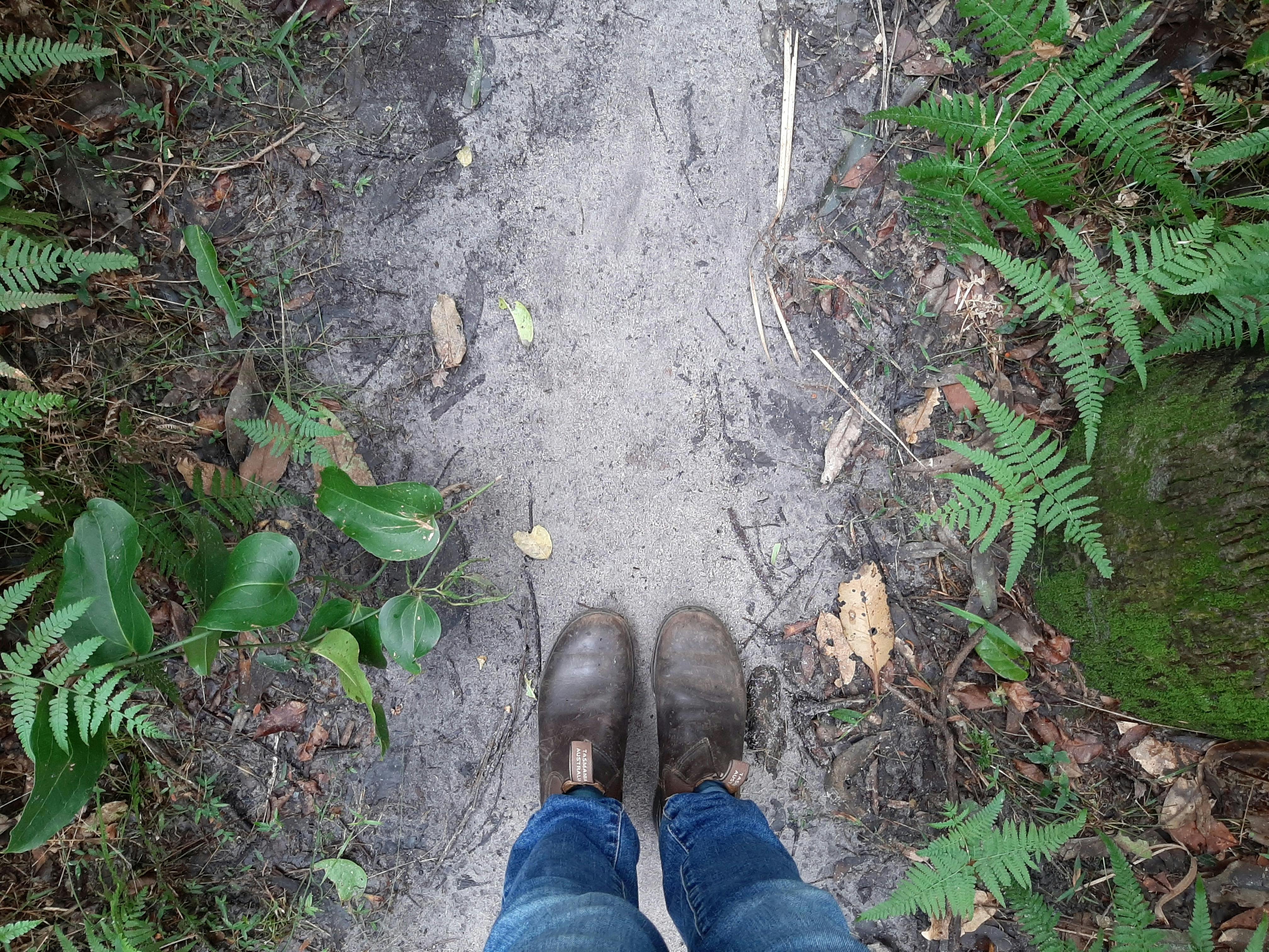 Walking boots on Alex Forest trail