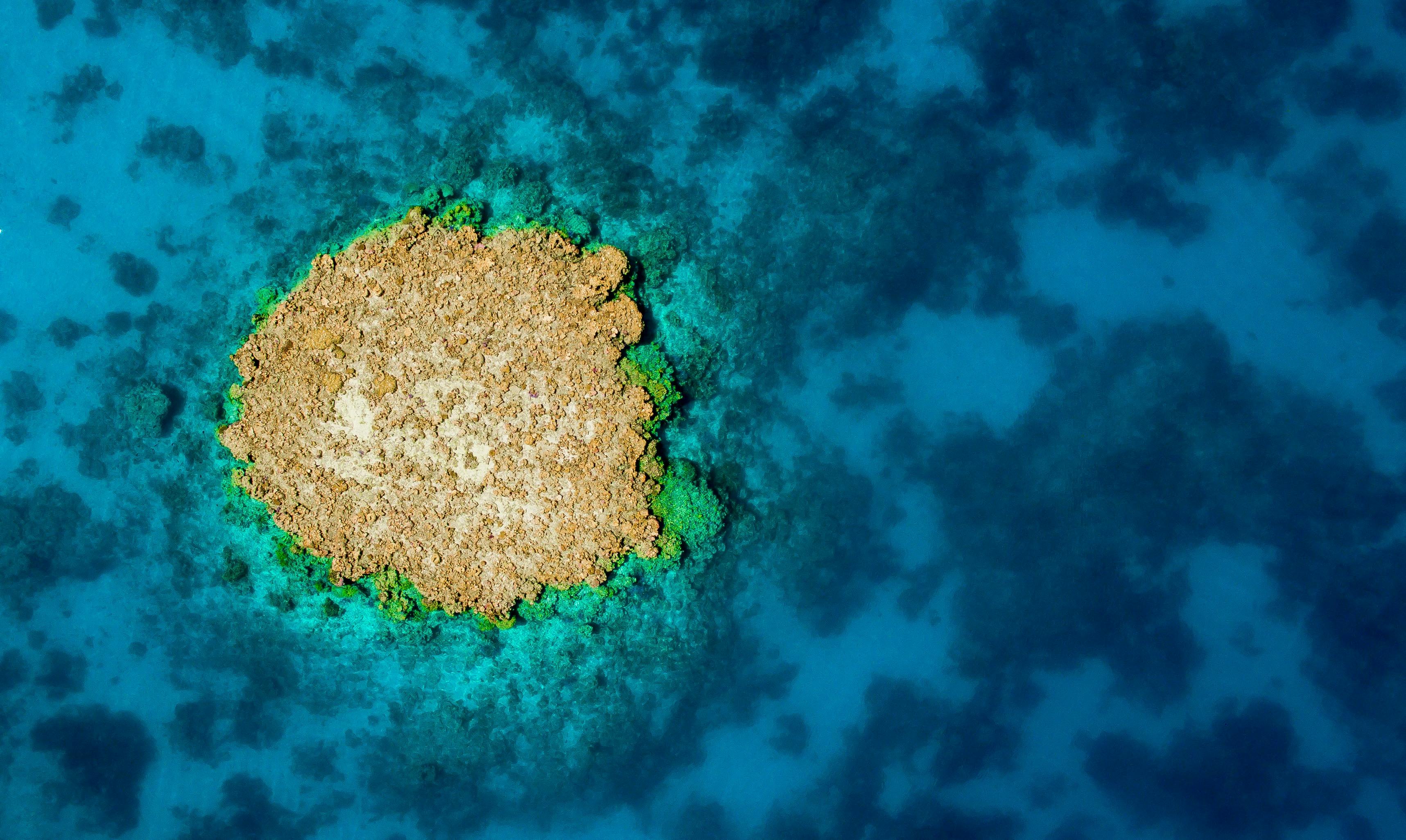 Snorkel the Rowley Shoals