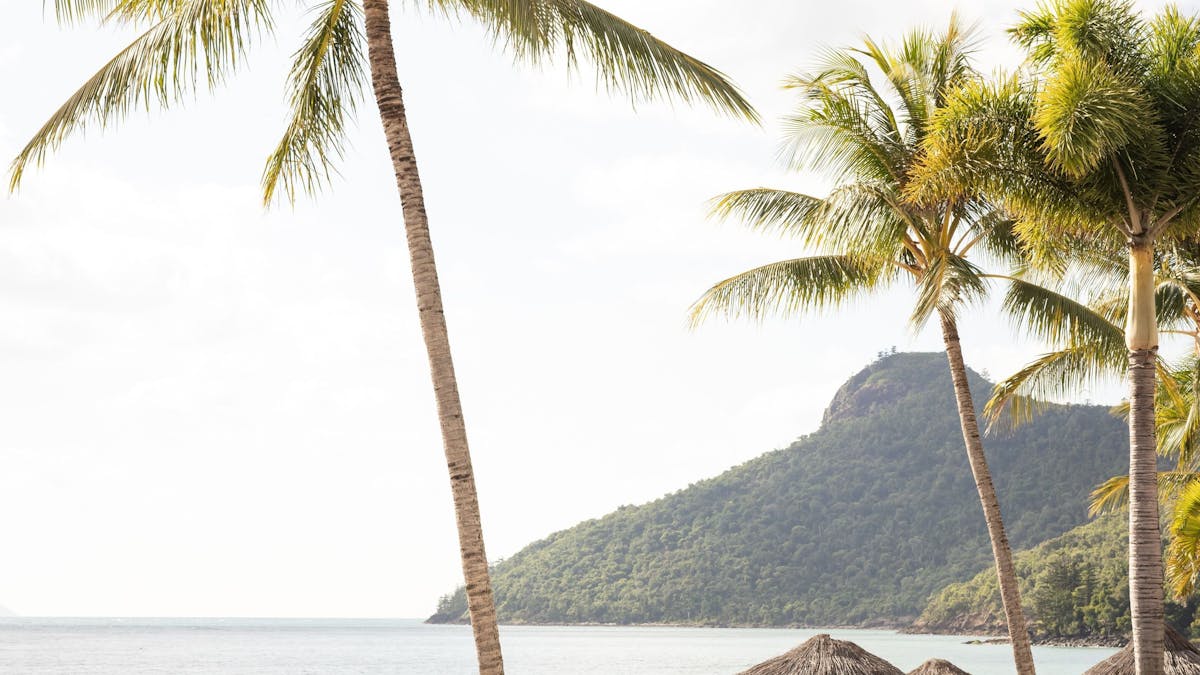 Beach Club Hamilton Island