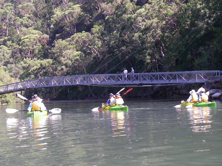 Southern Cross Kayaking Ku-ring-gai NP Kayak Tour