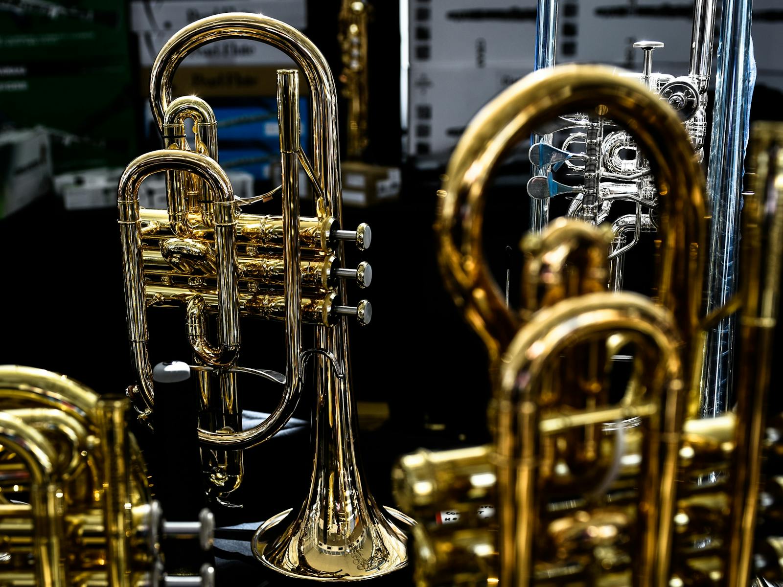 Image for NSW State Band Championships