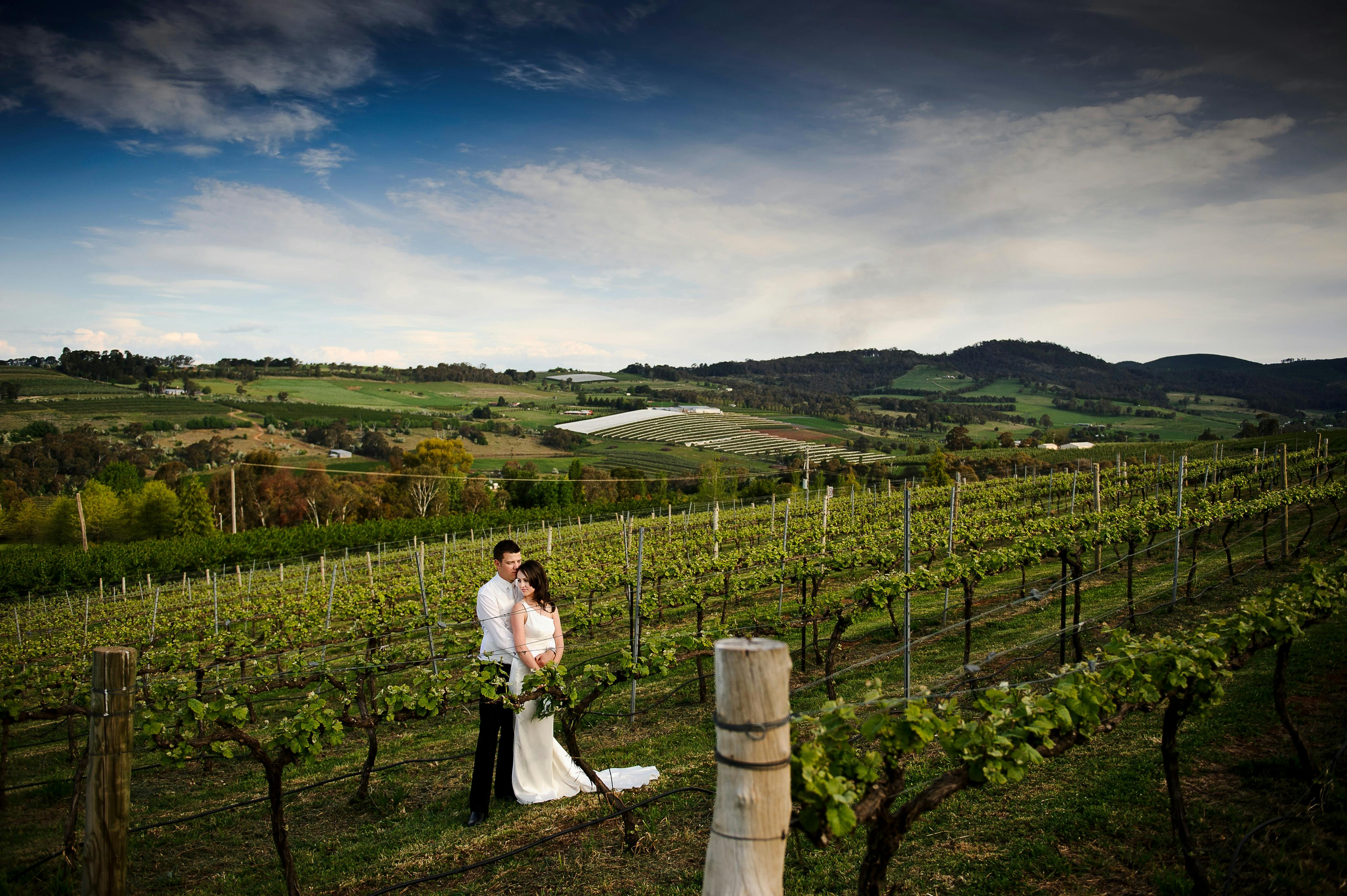 vineyard weddings