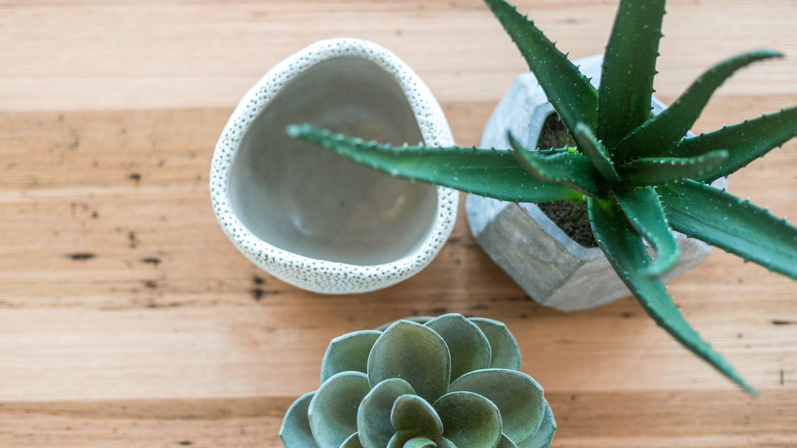 Kelly Street Apartments