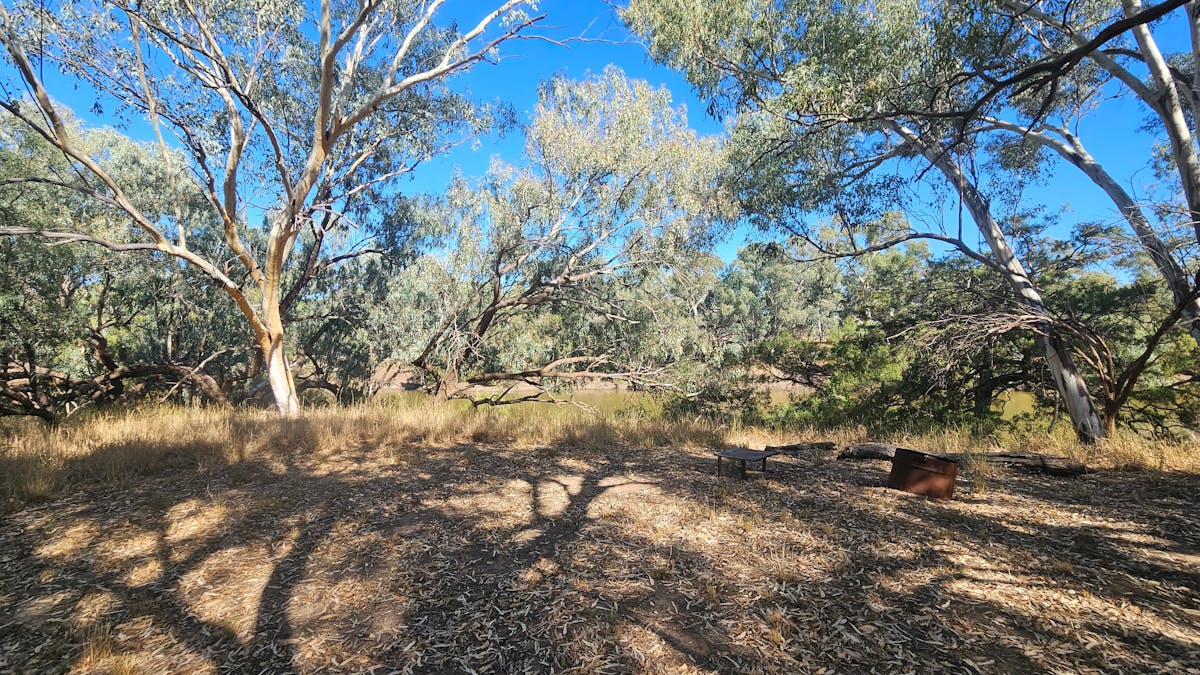 Secluded camping with shaded on the banks of the river at Ticklmans Gardens