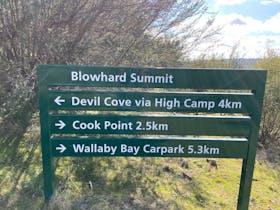 Blowhard Summit