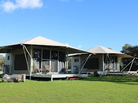 Glamping tents