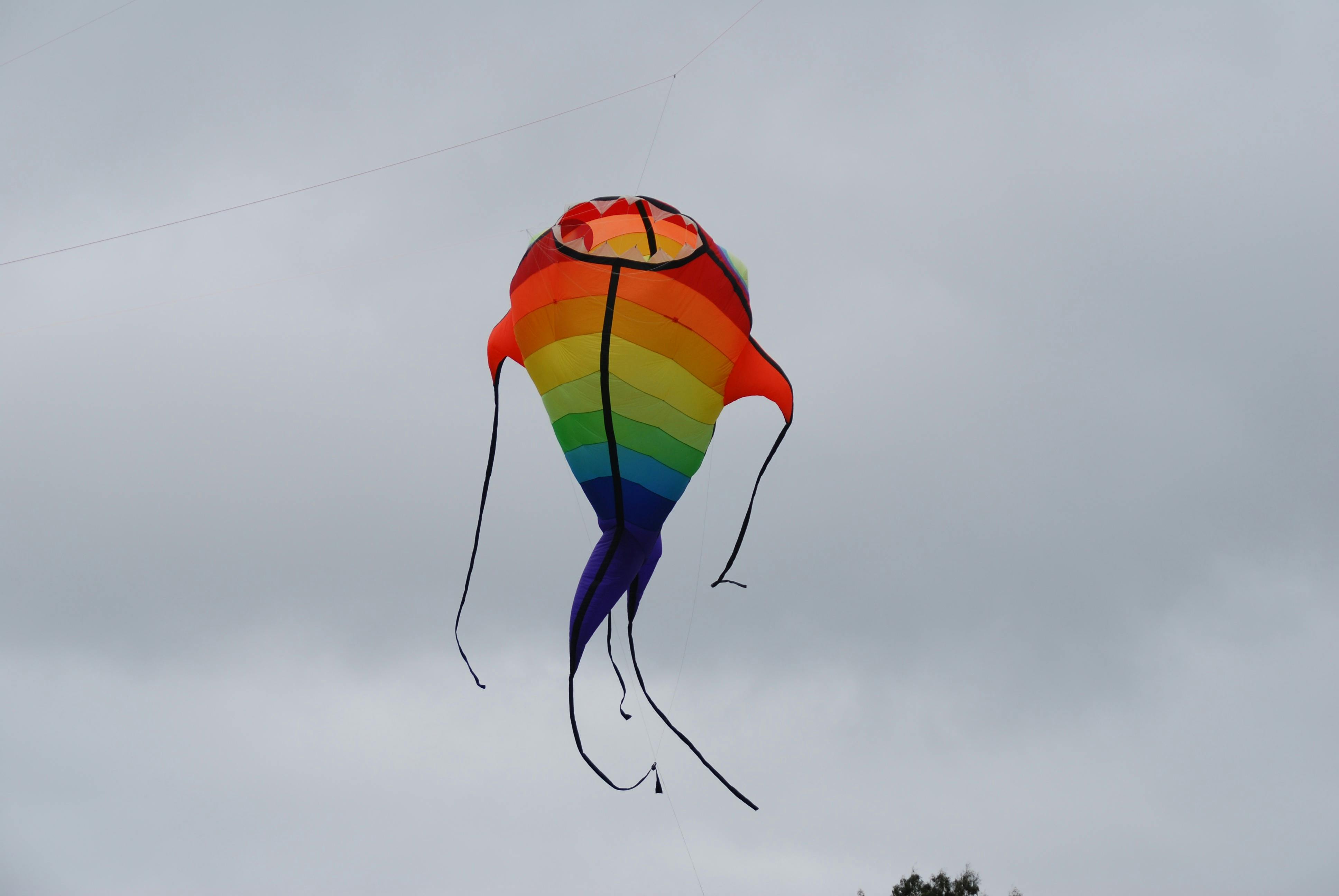 Dean Kite Festival