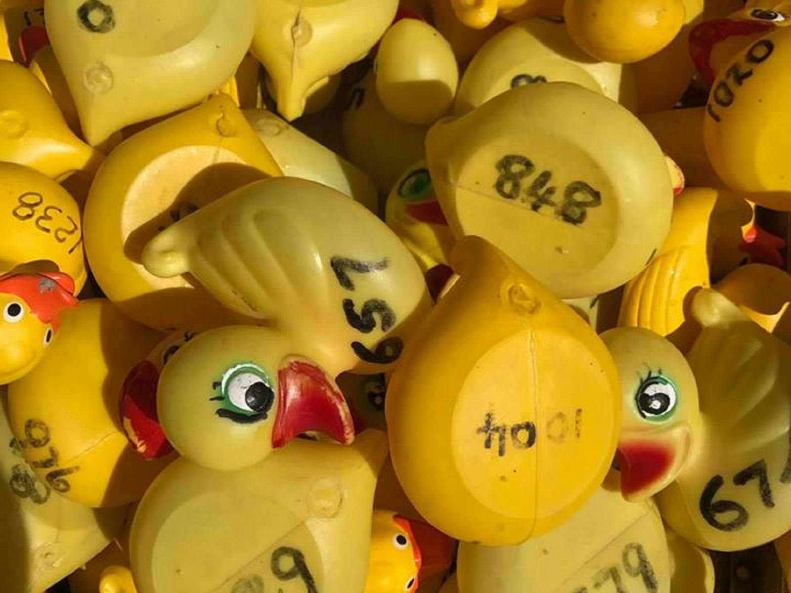 Image for Mathoura Easter Duck Race