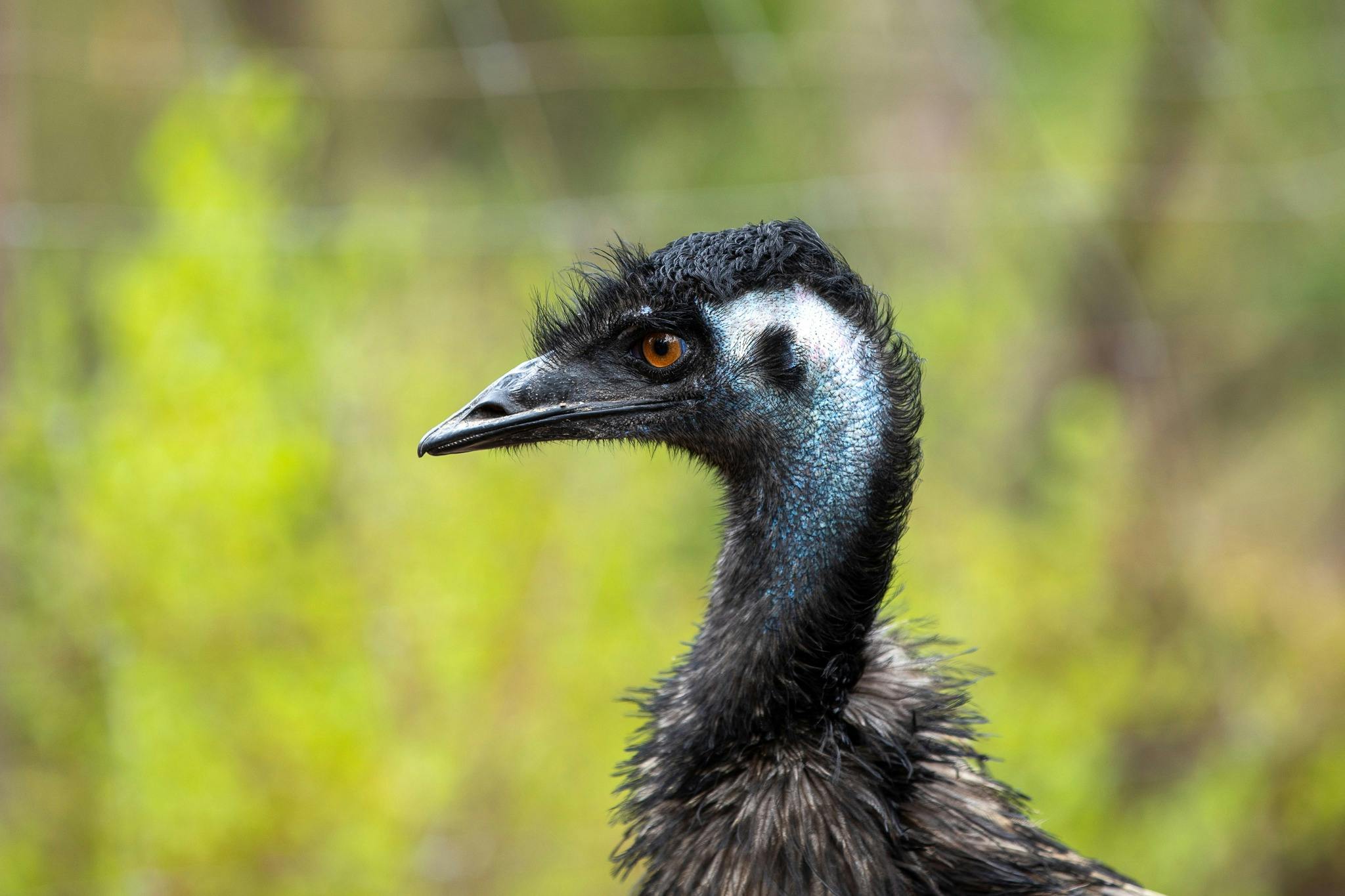 Nangak Tamboree Wildlife Sanctuary